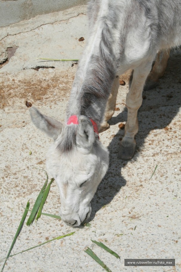 photo 471190