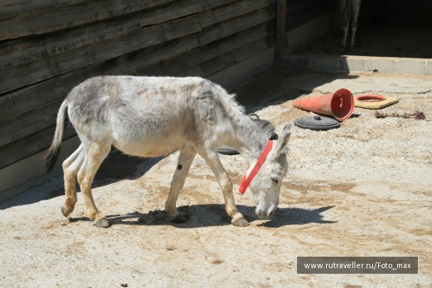 photo 471249