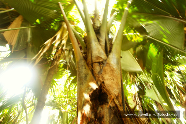 photo 137616