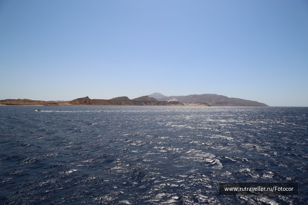 photo 1447343