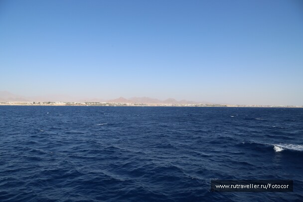photo 1447346