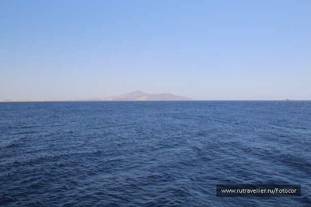 photo 1447349