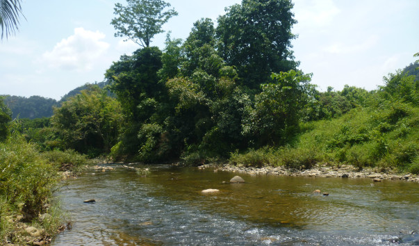 P1130485