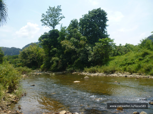 photo 291314