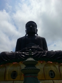 photo 949039