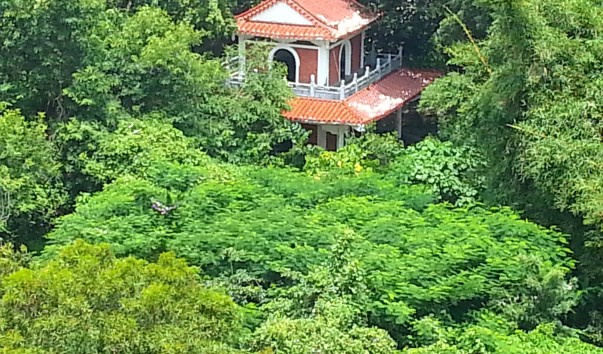 20130712_114318