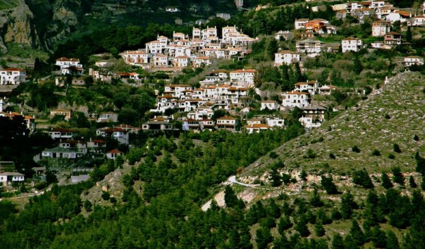 koykoyrava