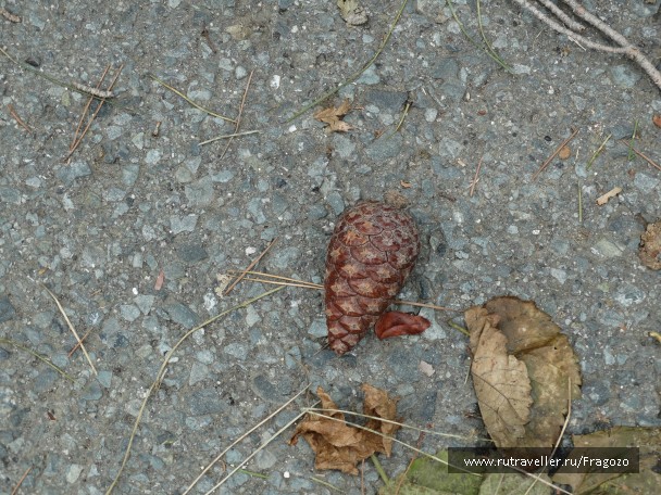 photo 751219
