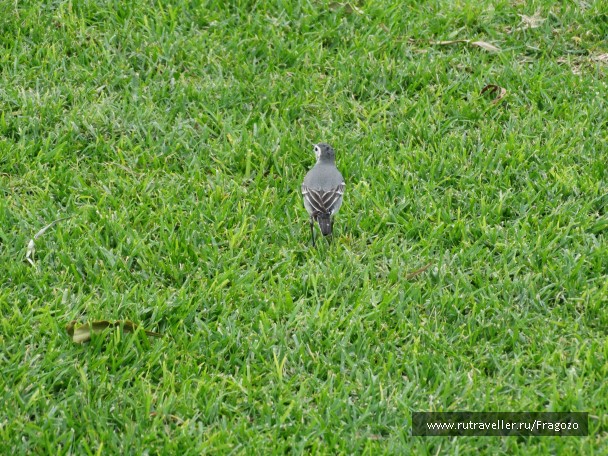 photo 751226