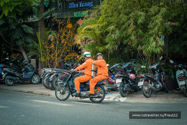 photo 1243420
