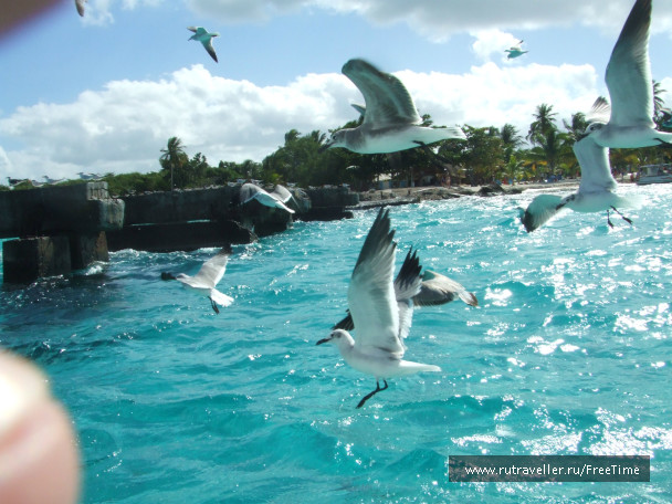 photo 307394
