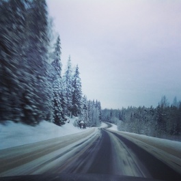 photo 373308