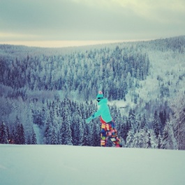 photo 373309