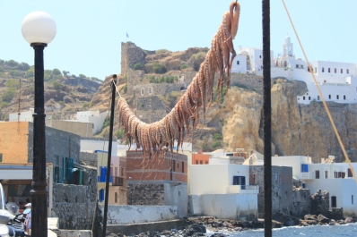 photo 479699