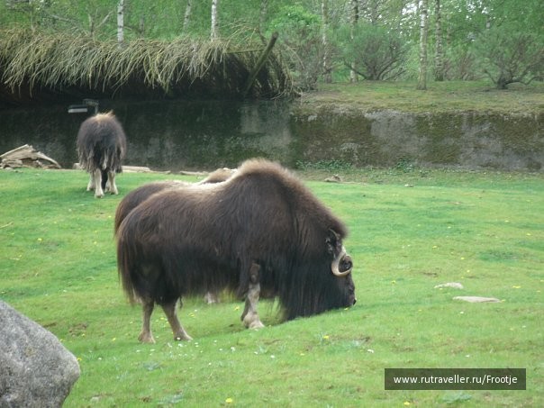 photo 429514