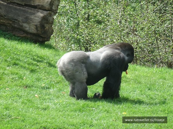 photo 429516