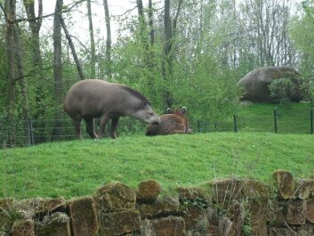 photo 429518