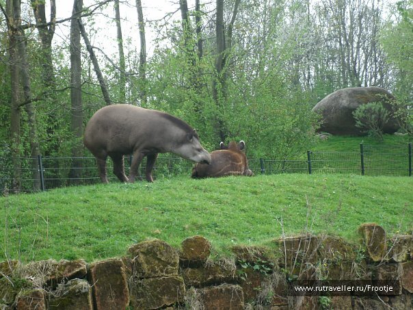 photo 429518