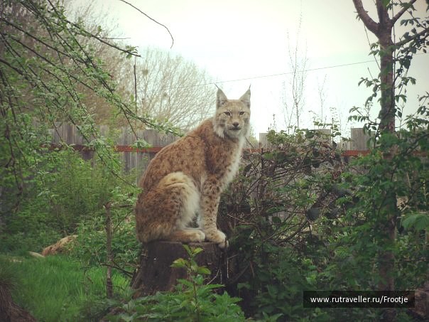 photo 429523