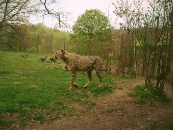 photo 429849