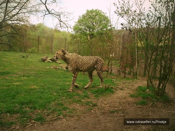photo 429849