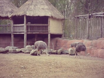 photo 429850
