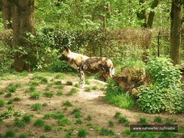 photo 429852