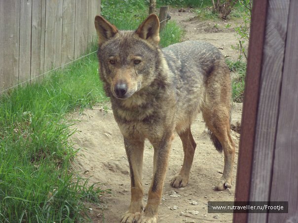 photo 429854