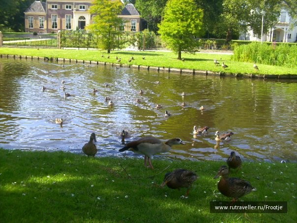 photo 429552