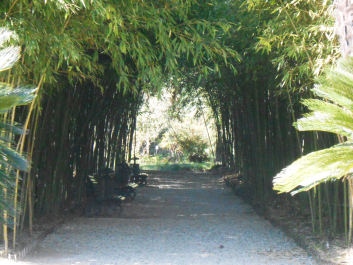 photo 1133720