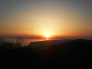 photo 1133851