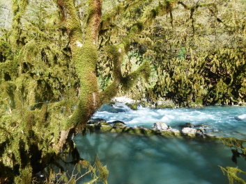 photo 1253393