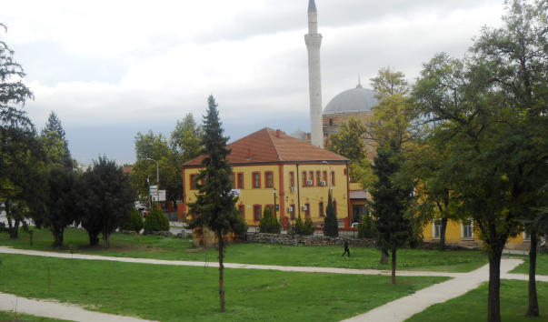 DSCN1232