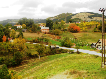 photo 1145771