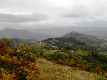 photo 1145772