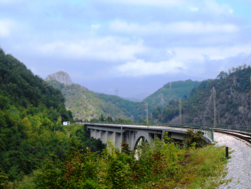 photo 1155641