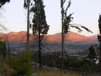 photo 1155914