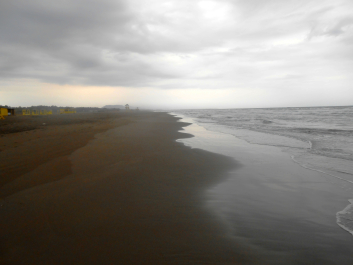 photo 1158399
