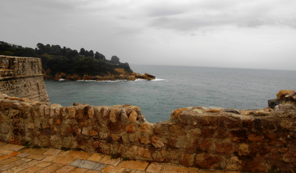 DSCN1858