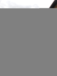 photo 1158438