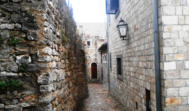 DSCN1849