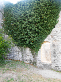 photo 1163072