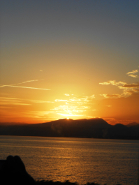 photo 1222579