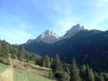 photo 1232241