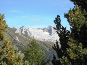 photo 1233254
