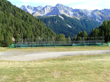 photo 1233256