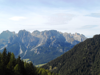 photo 1233261