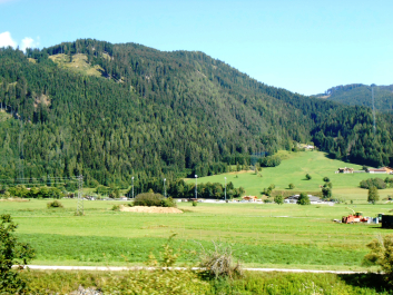 photo 1246390