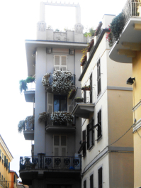 photo 1259759