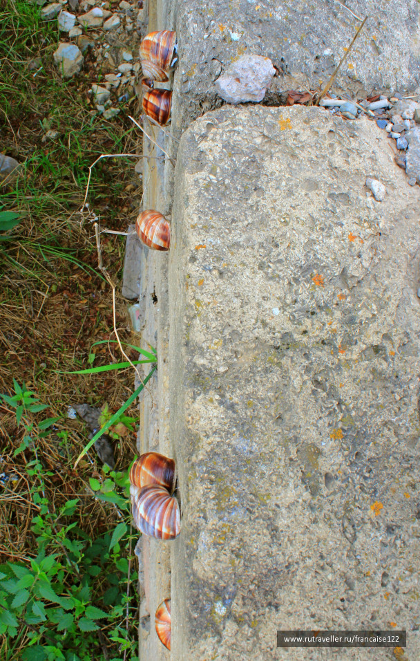 photo 1404444